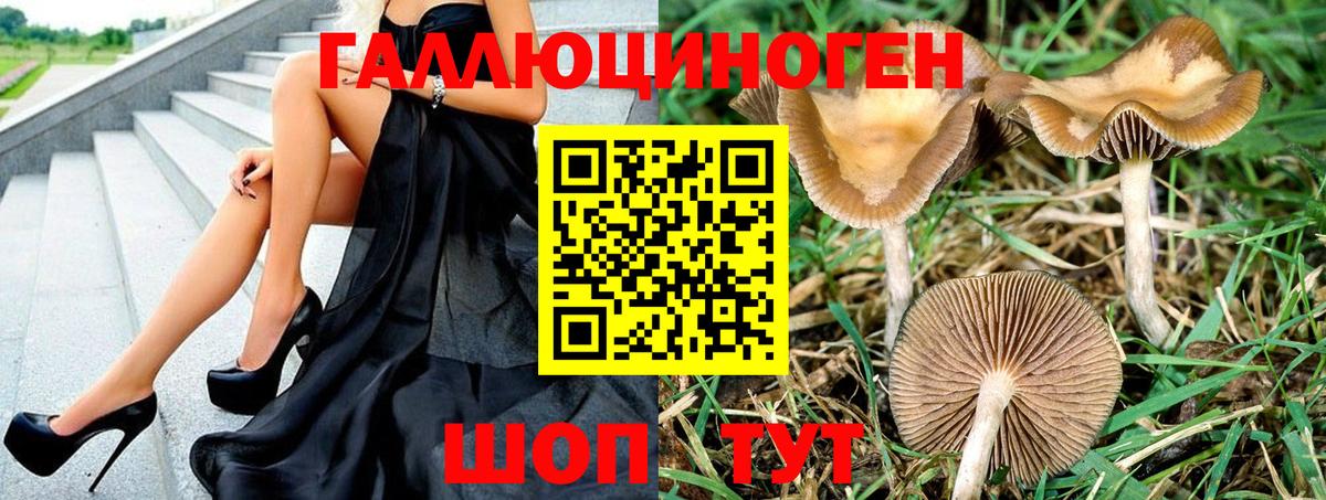 Псилоцибиновые грибы ЛСД Новочебоксарск