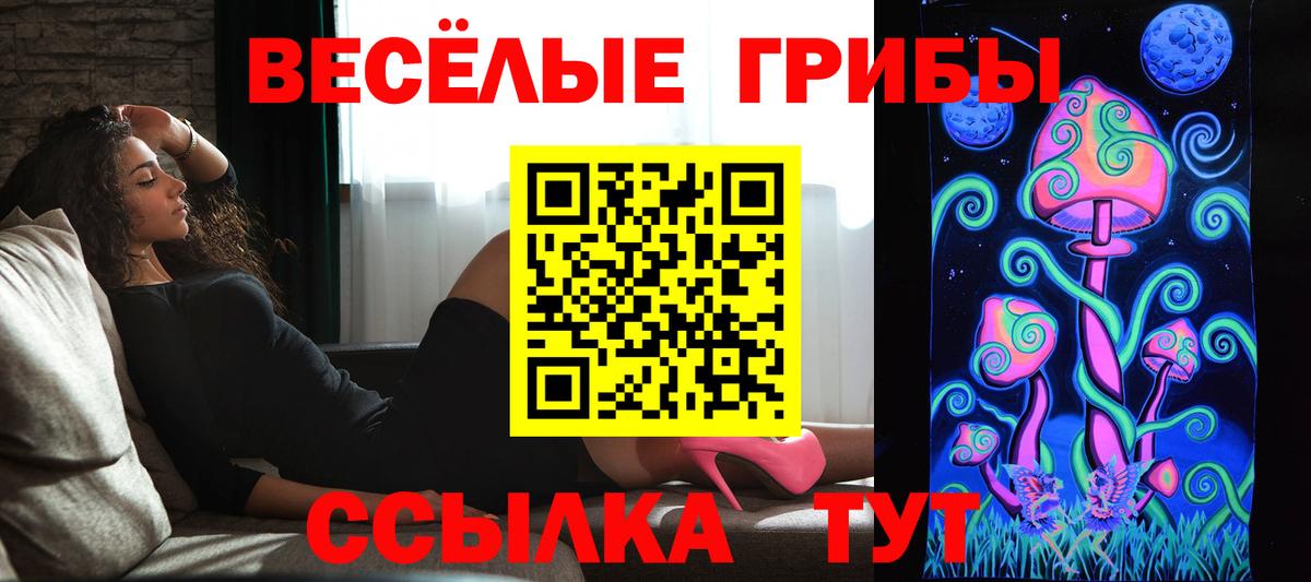 Галлюциногенные грибы GOLDEN TEACHER  Галлюциногенные грибы мухоморы  наркошоп  Новочебоксарск  Вход с VPN 